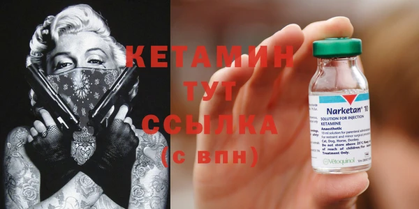 крисы Бородино