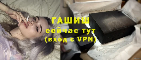 крисы Бородино