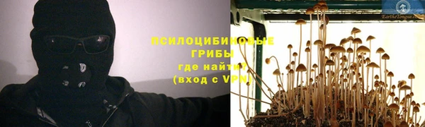 прущие грибы Бугульма