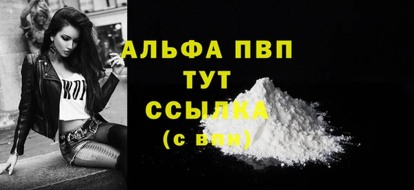 крисы Бородино