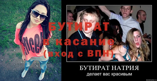 крисы Бородино