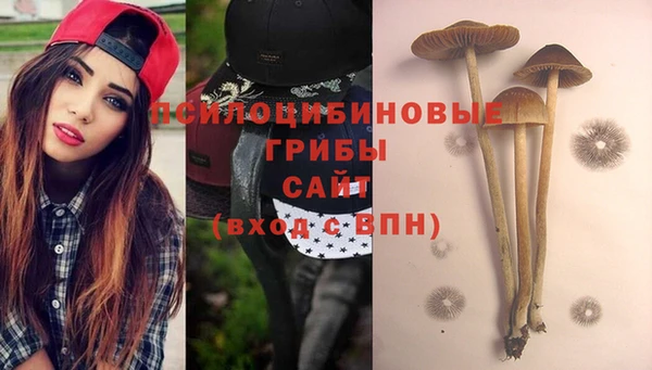 крисы Бородино