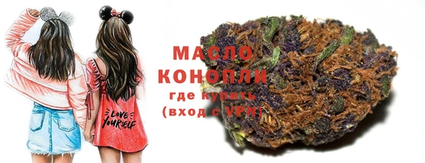 крисы Бородино