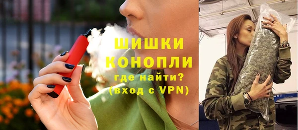 прущие грибы Бугульма