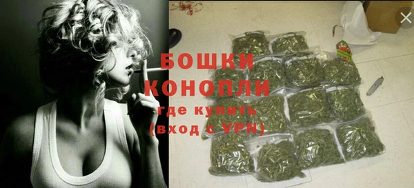 крисы Бородино