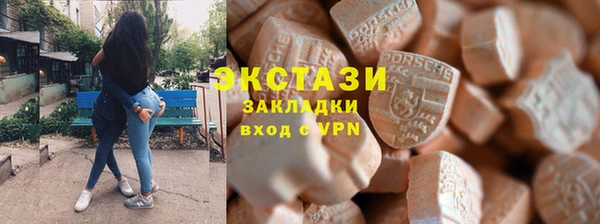 крисы Бородино