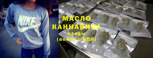 стаф Тайга