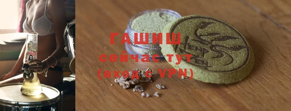 крисы Бородино