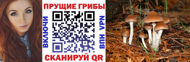 Галлюциногенные грибы Cubensis  Межгорье 